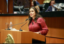 Simey Olvera deja la Mesa Directiva del Senado