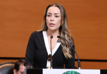 Proponen hasta 30 años de prisión por ecocidio en México