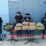 Aseguran 72 kilos de presunta marihuana en Ixmiquilpan