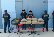 Aseguran 72 kilos de presunta marihuana en Ixmiquilpan