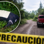 Asesinan a sacerdote en la sierra hidalguense