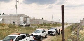 Aseguran a uno de los canes asesinos de Tizayuca