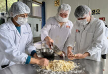 UAEH: 24 años de forjar expertos en innovación y seguridad nutricional
