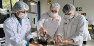 UAEH: 24 años de forjar expertos en innovación y seguridad nutricional