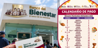 Pensión del Bienestar: último pago de 2026 inicia el 3 de noviembre