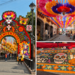 Villa de Tezontepec se viste de cempasúchil para recibir el Día de Muertos