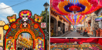 Villa de Tezontepec se viste de cempasúchil para recibir el Día de Muertos