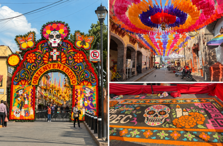 Villa de Tezontepec se viste de cempasúchil para recibir el Día de Muertos