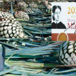 Gobierno prepara plan de apoyo para productores de agave