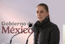 Sheinbaum evita pronunciarse sobre polémica de Taddei y contratos del INE