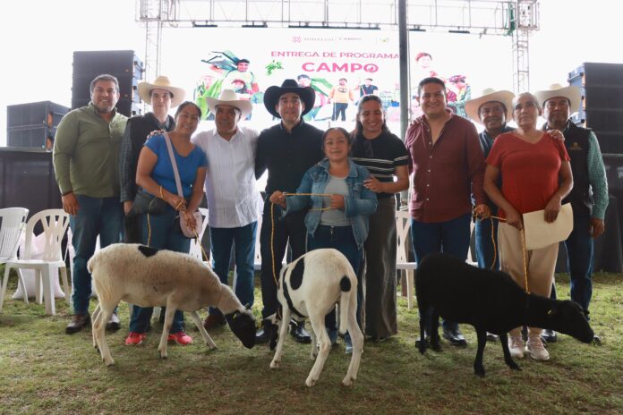 Entrega Tasquilo 4