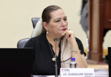 INE: ASF abre investigación por presuntas irregularidades en contratos
