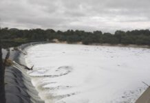 Instala Conagua barreras para contener el lirio en la prensa Endhó