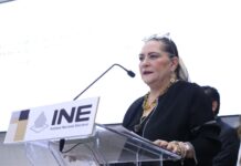 Taddei anuncia su renuncia a la presidencia del INE