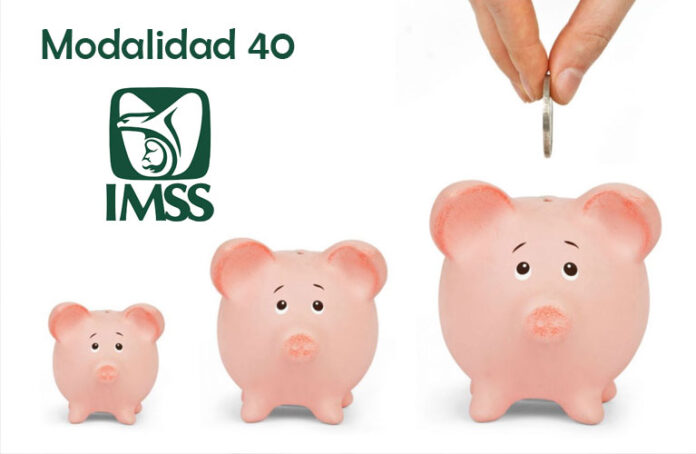 mod40imss