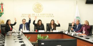 Senado avala dictamen para garantizar transparencia salarial